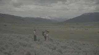 Znovuzrozená divočina Skalnatých hor: Od Yellowstonu k Yukonu (1/4)