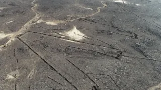Hledání zapomenutého písma
