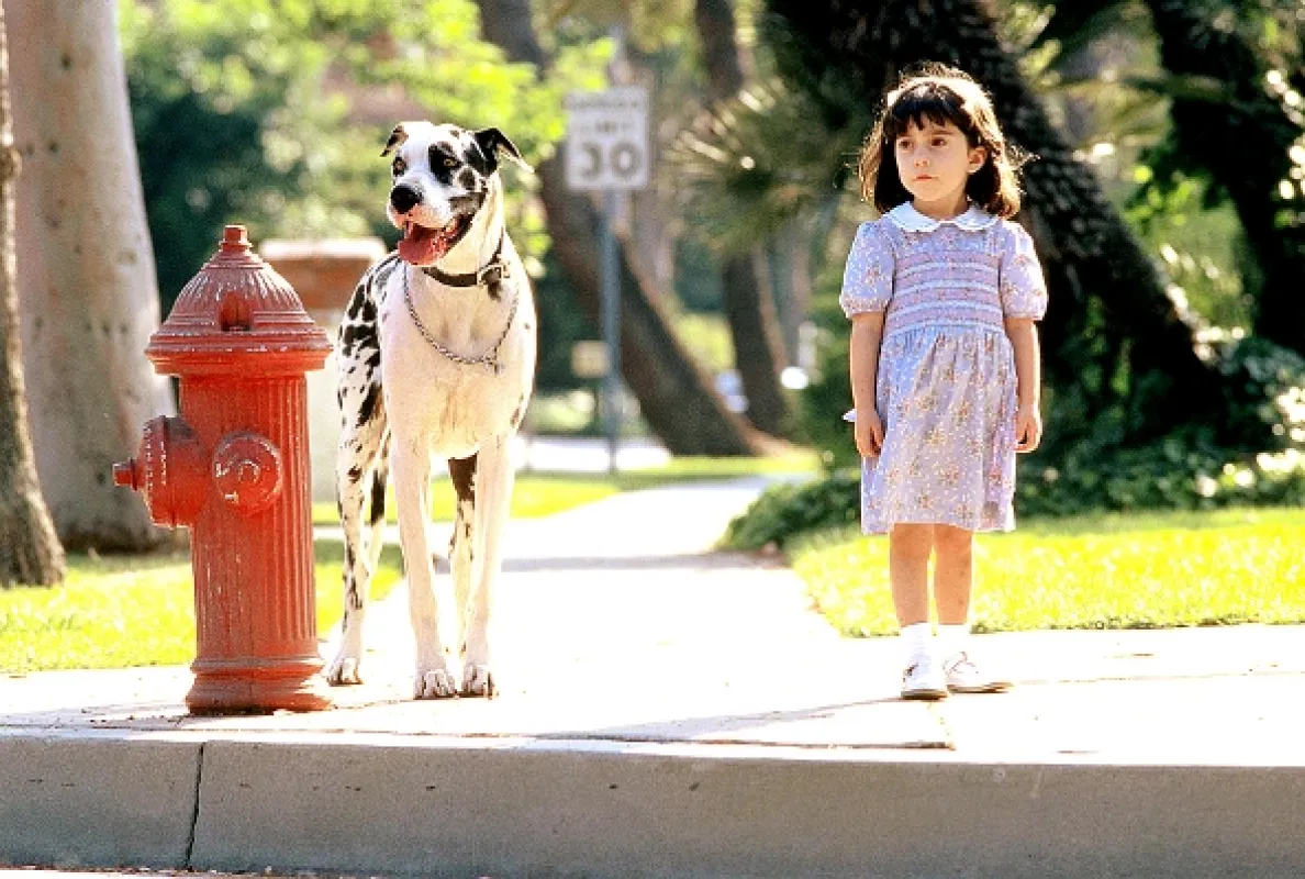 Matilda, 1996 - fotogaléria