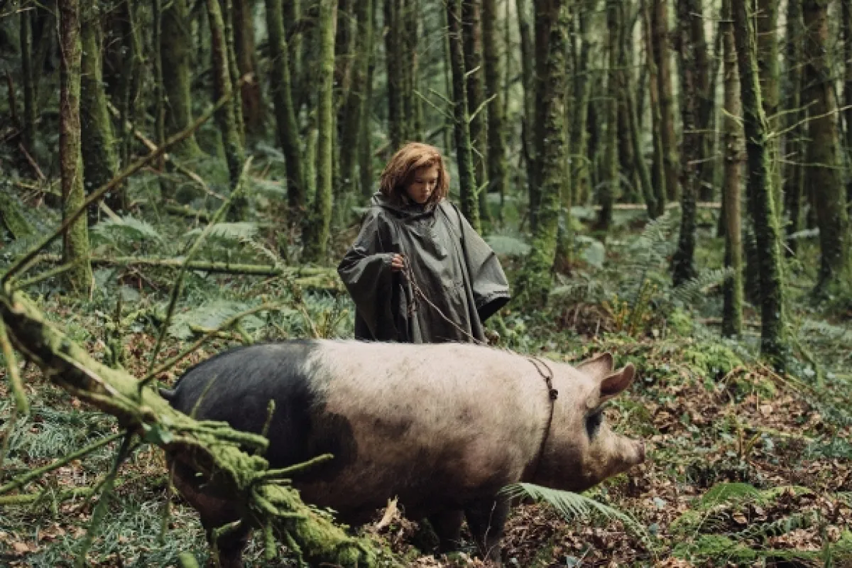Humr (The Lobster), 2015 - fotogaléria