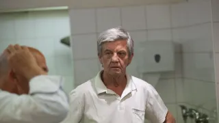 Ano, šéfe!