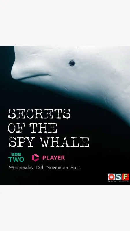 Tajemství velrybího špiona (Secrets of the Spy Whale), 2024 - fotogaléria