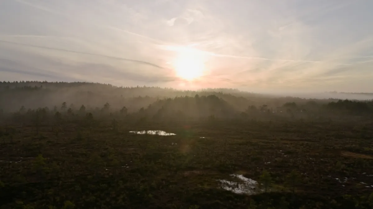 Estonsko z výšky - fotogaléria
