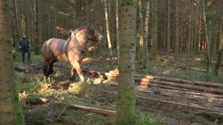 Na cestě po Ardenách