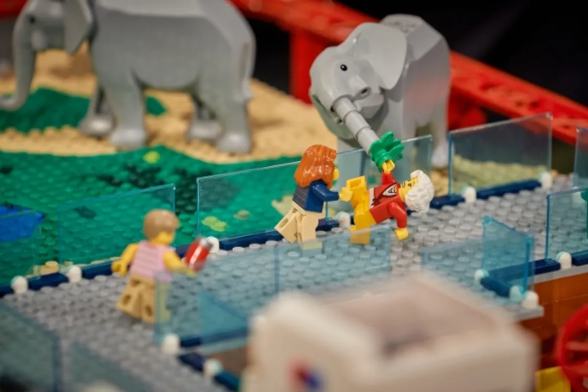 LEGO Masters - Nový Zéland (LEGO Masters New Zealand), 2022 - fotogaléria