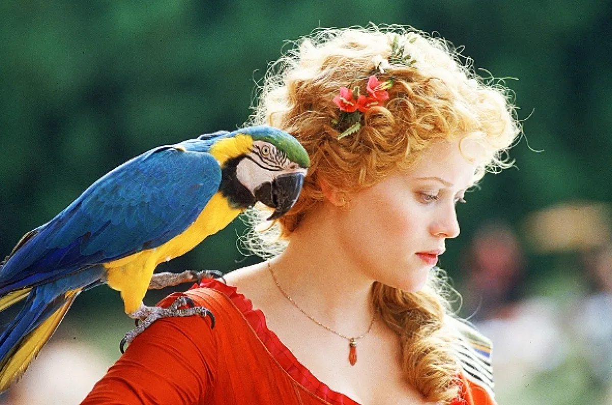 Jarmark marnosti (Vanity Fair), 2004 - fotogaléria