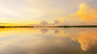 Zázračná planeta: Divoká Brazílie (2/3)