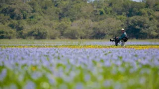 Zázračná planeta: Divoká Brazílie (2/3)