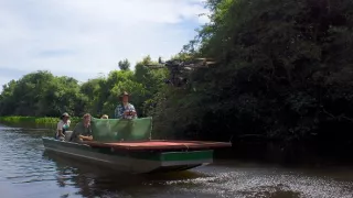 Zázračná planeta: Divoká Brazílie (2/3)