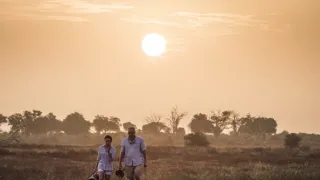 Kdysi dávno v Tsavu (1/2)