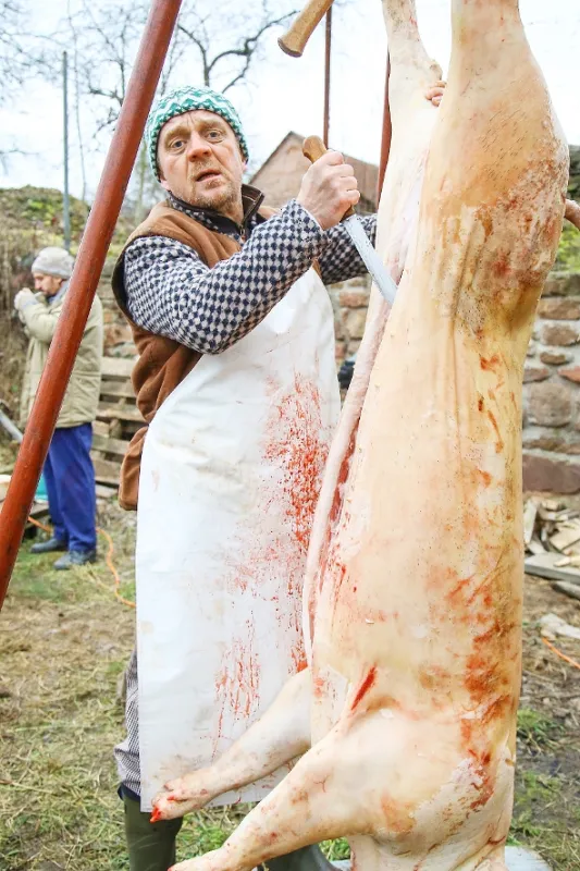Temný Kraj, 2016 - fotogaléria