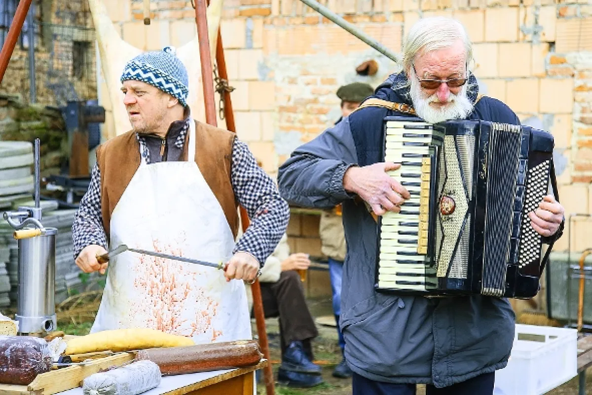Temný Kraj, 2016 - fotogaléria