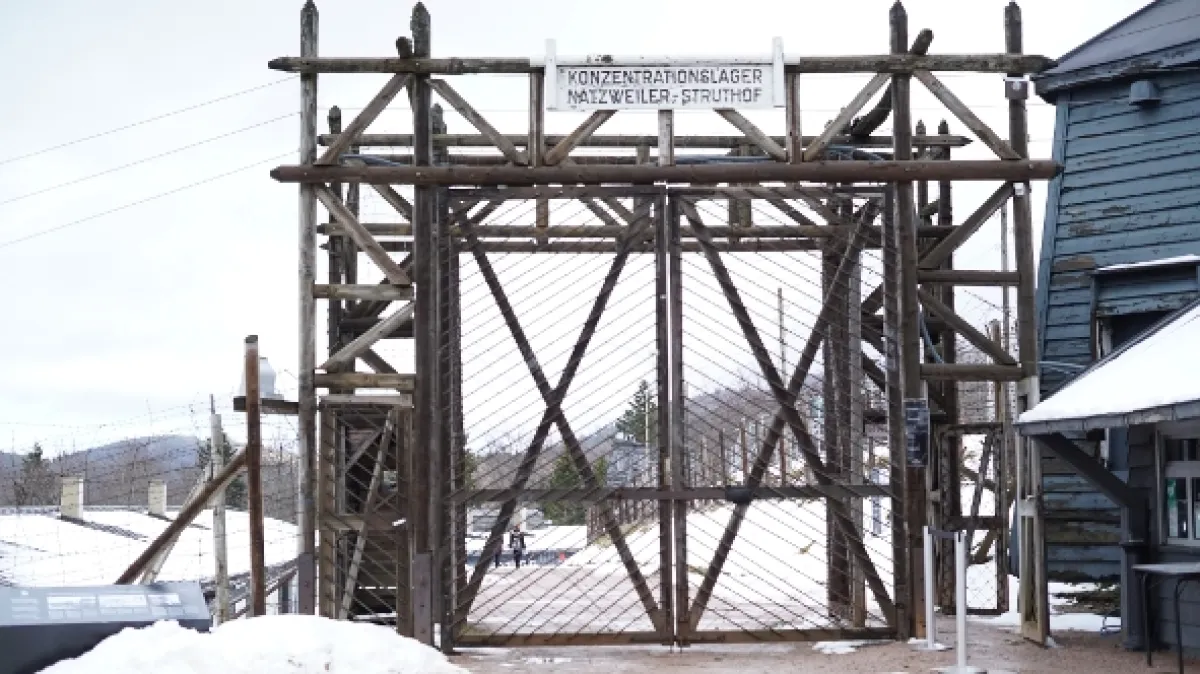 Válečné továrny (War Factories), 2019 - fotogaléria