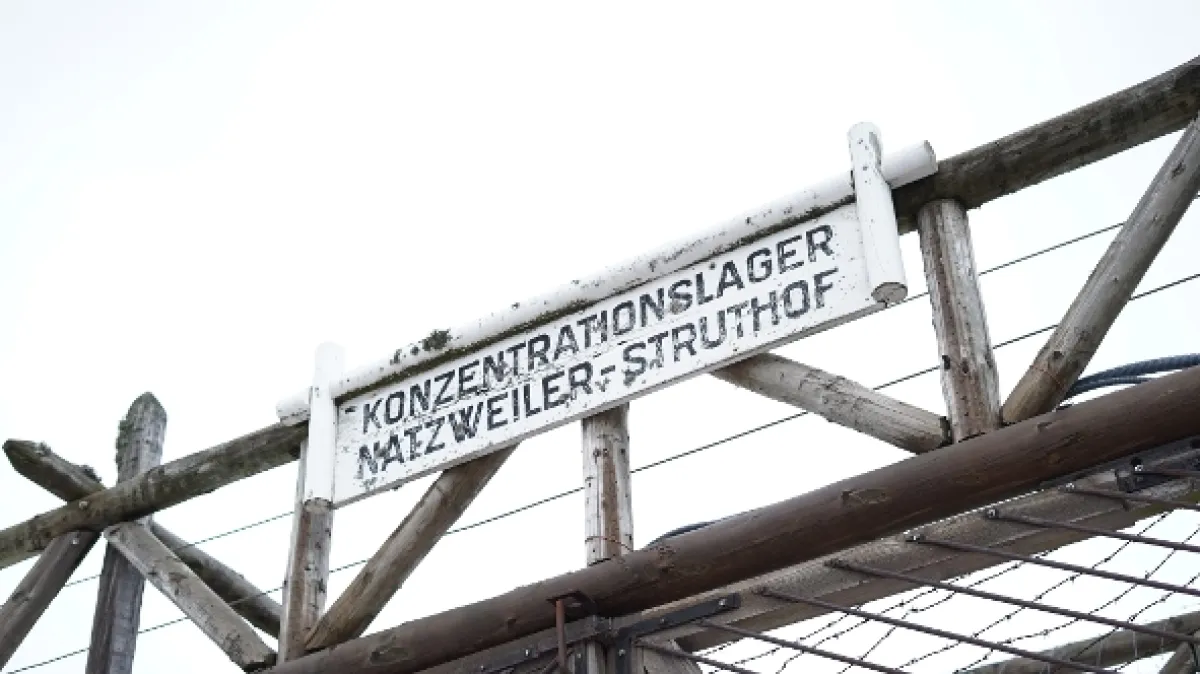 Válečné továrny (War Factories), 2019 - fotogaléria