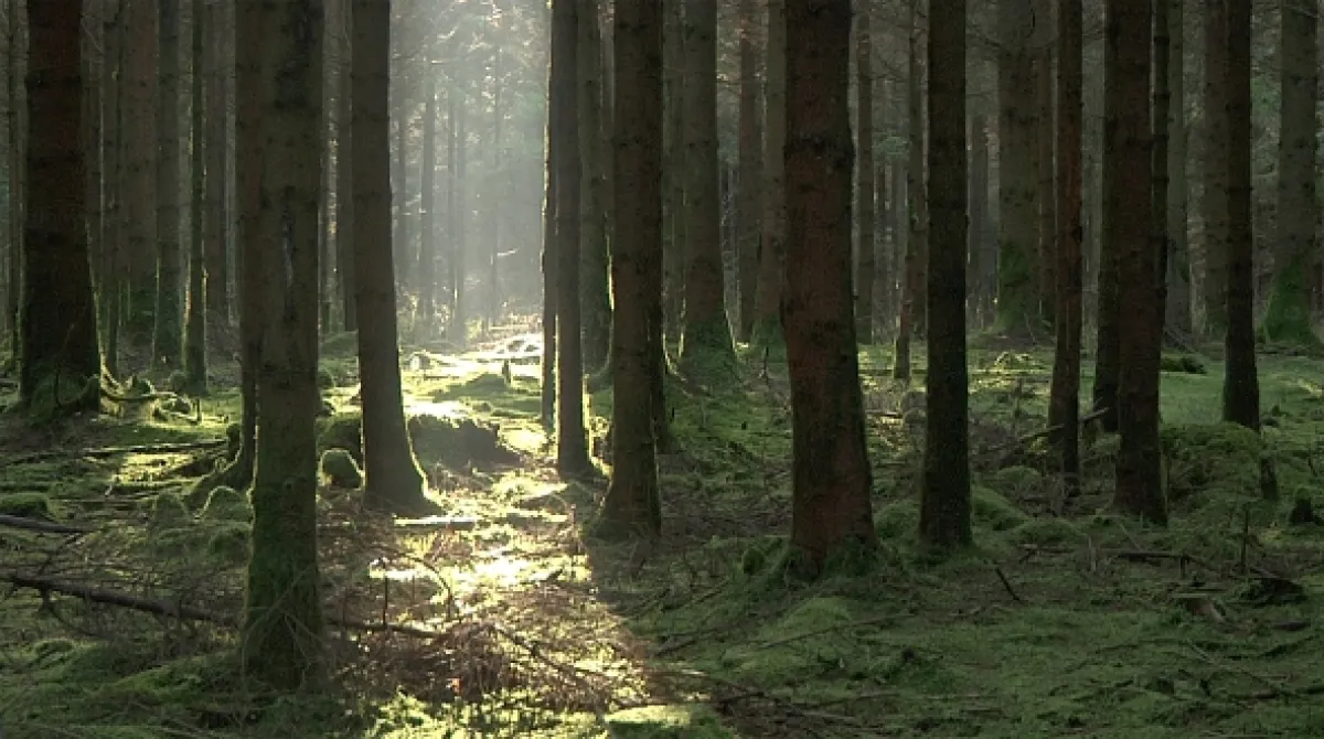 Na cestě po Ardenách, 2017 - fotogaléria