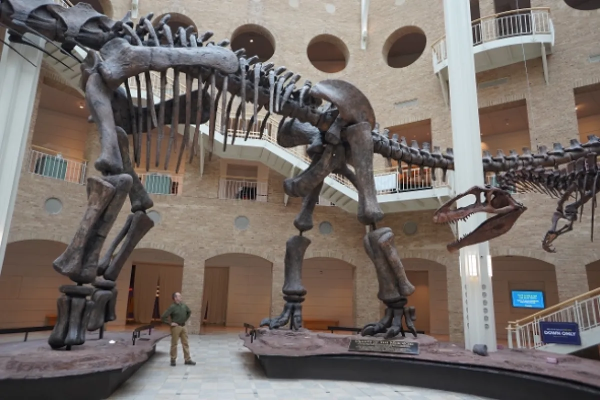 Dinosauři ledového kontinentu (Ancient Earth: Dinosaurs of the Frozen Continent), 2022 - fotogaléria