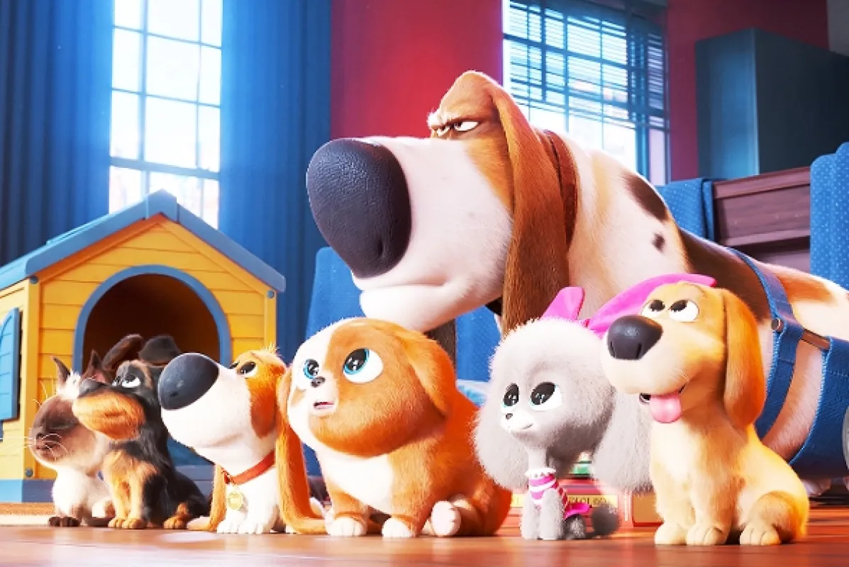 Tajný život mazlíčků 2 (The Secret Life of Pets 2), 2019 - fotogaléria