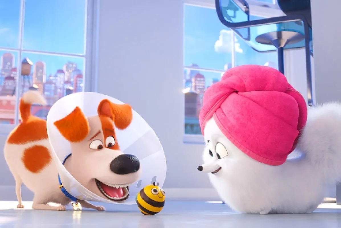 Tajný život mazlíčků 2 (The Secret Life of Pets 2), 2019 - fotogaléria