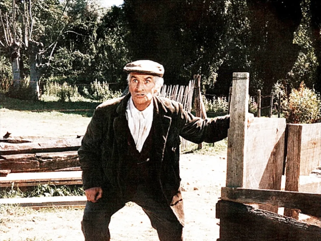 Zelňačka (Cabbage Soup, The), 1981 - fotogaléria