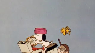 Snoopy, vrať se