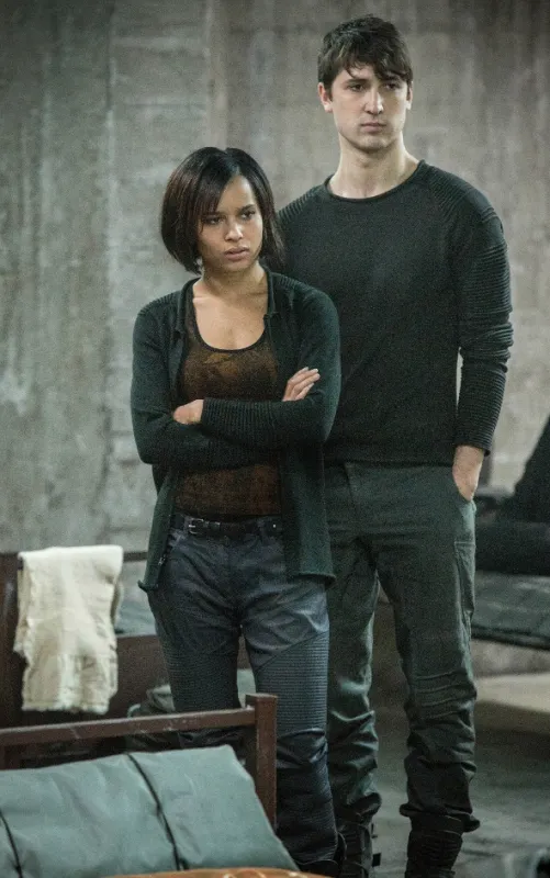 Divergence (Divergent), 2014 - fotogaléria
