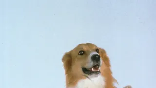 Jsem do tebe blázen IV (18/23)