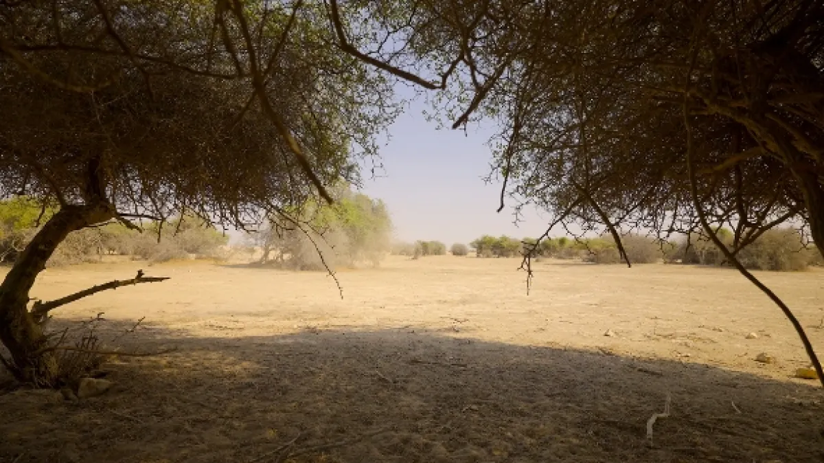 Katar: Perly pouště (Qatar: Perlen im Sand), 2022 - fotogaléria