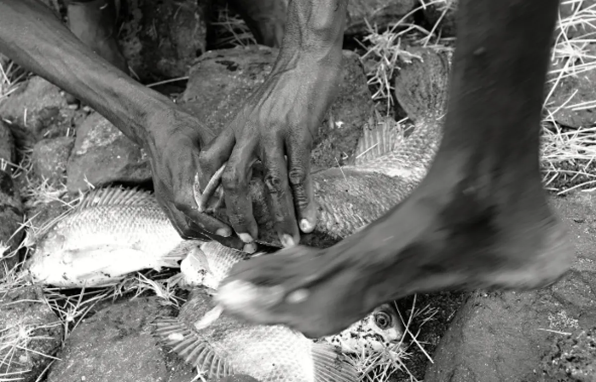 Africa obscura, 2011 - fotogaléria