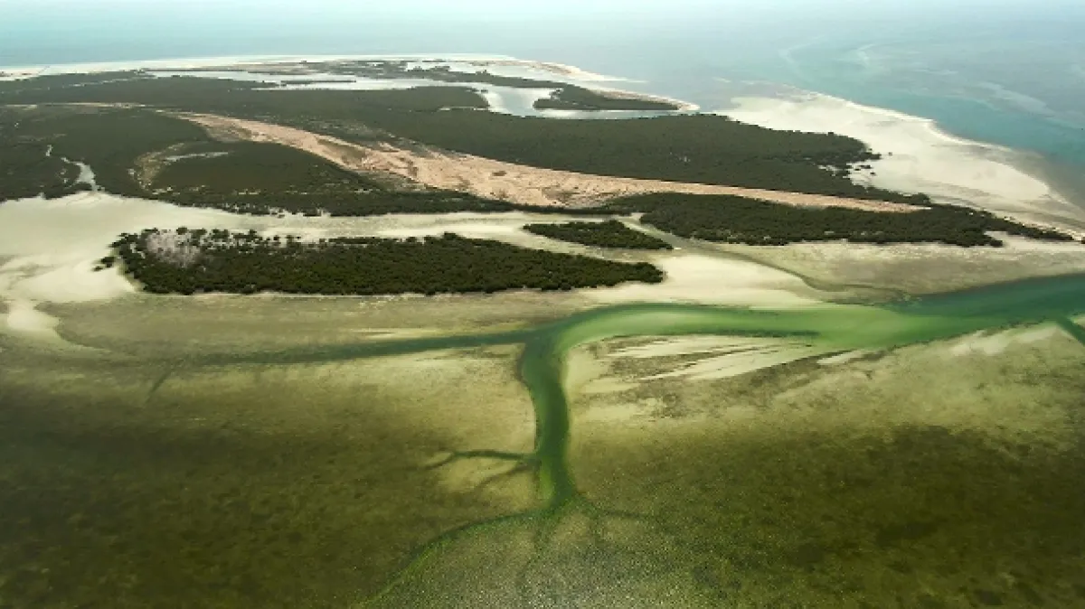 Katar: Perly pouště (Qatar: Perlen im Sand), 2022 - fotogaléria