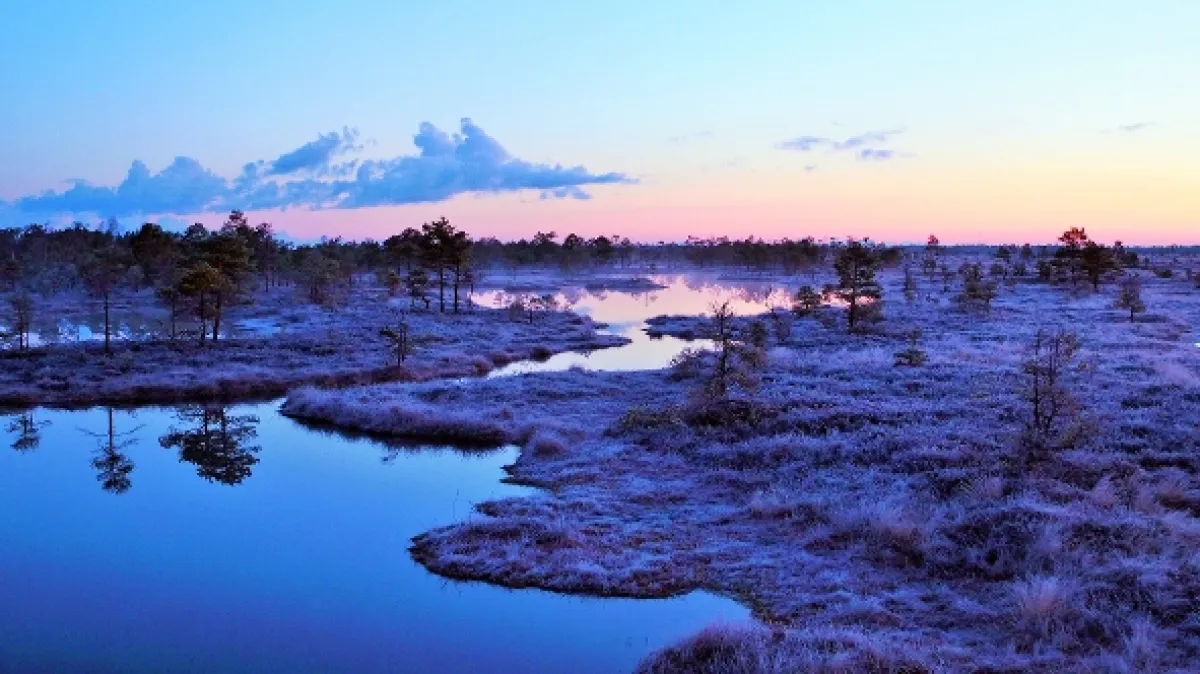 Estonská říše losů (Matsalu Moose: Wild Giants of the Baltics), 2019 - fotogaléria