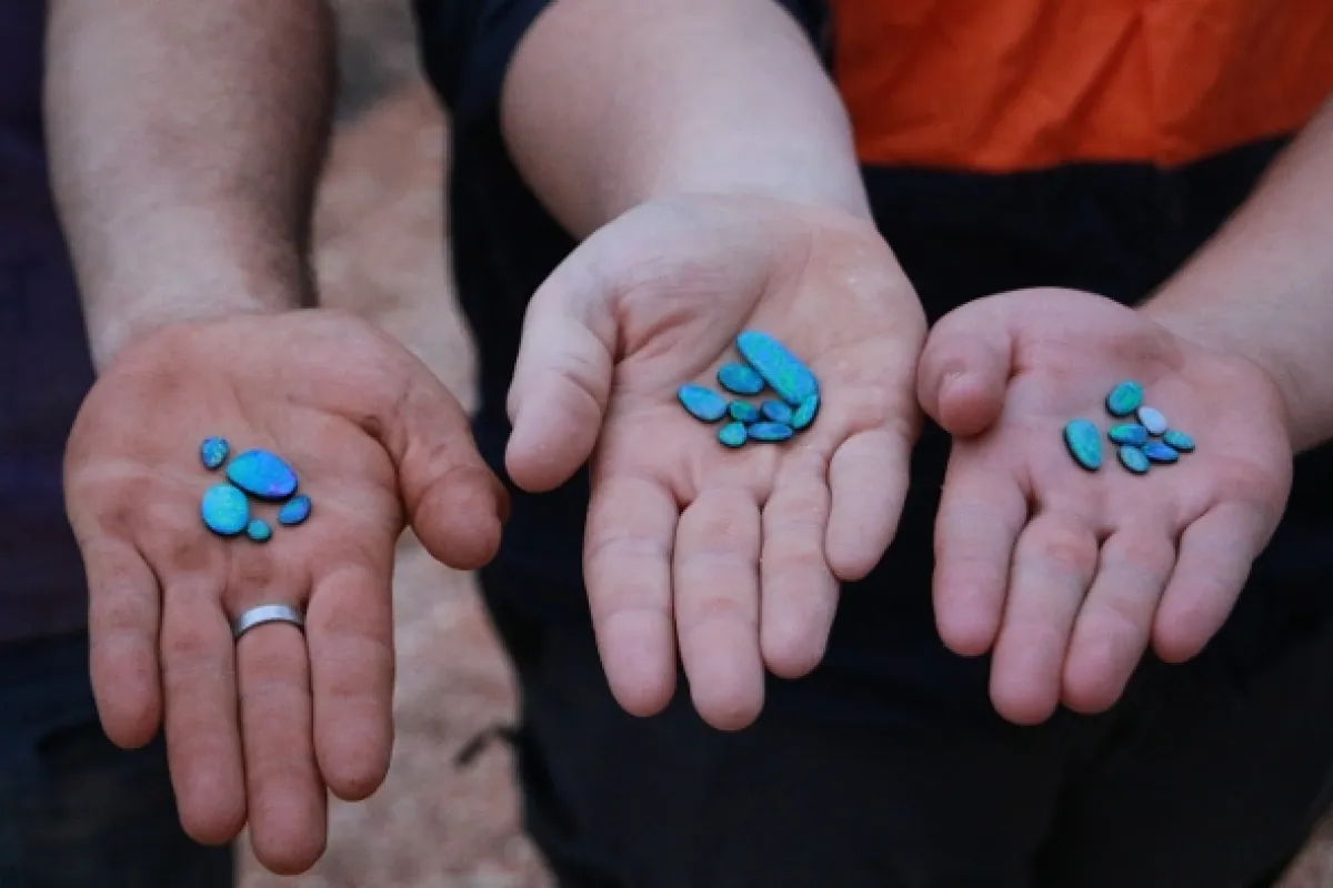 Lovci opálů (Outback Opal Hunters), 2020 - fotogaléria