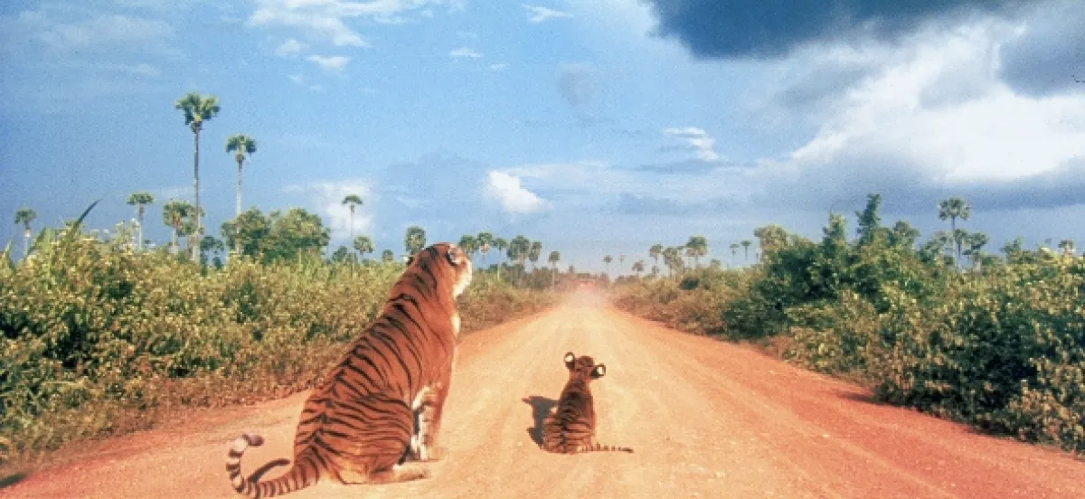 Dvaja bratia (Deux fréres), 2004 - fotogaléria