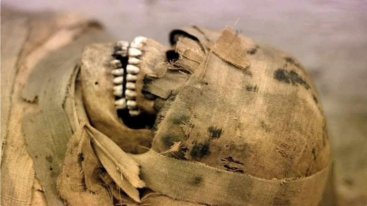 Tutanchamonova kletba (Tutankhamun’s Curse), 2022 - fotogaléria