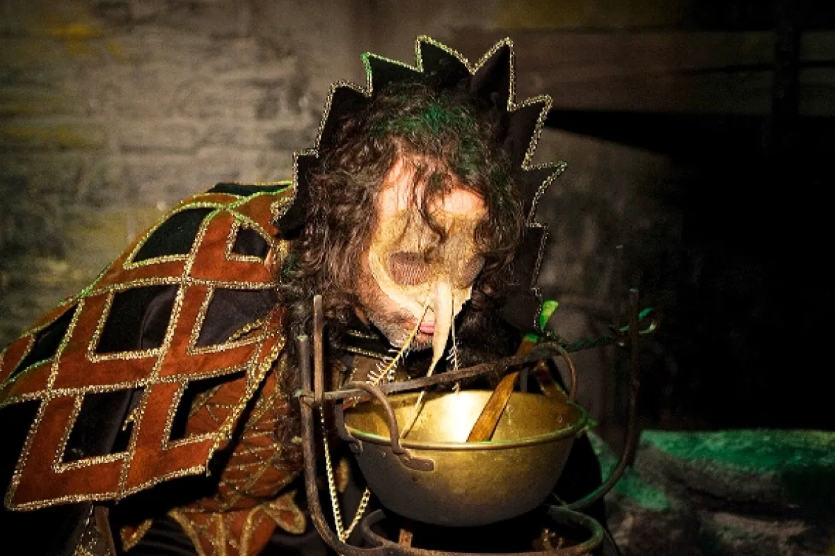 Sůva z nudlí, 2006 - fotogaléria