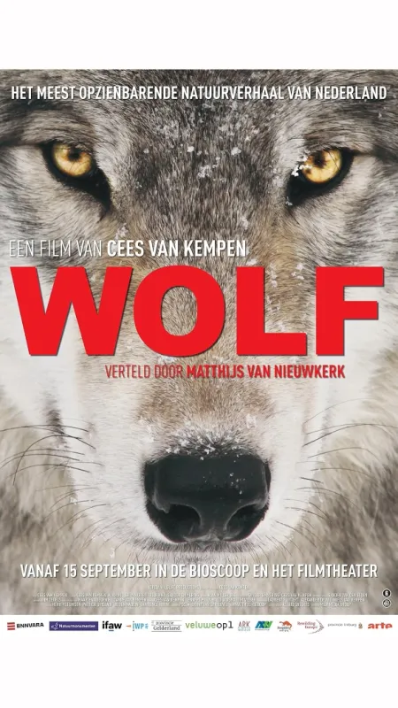 Vlk: Tulák bez hranic (Wolf: Wanderer Without Borders), 2022 - fotogaléria