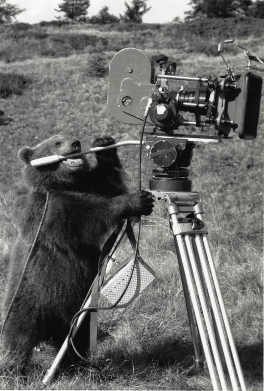 Medvědi, 1988 - fotogaléria