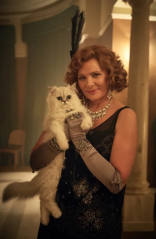 Svědek obžaloby (The Witness for the Prosecution), 2016 - fotogaléria