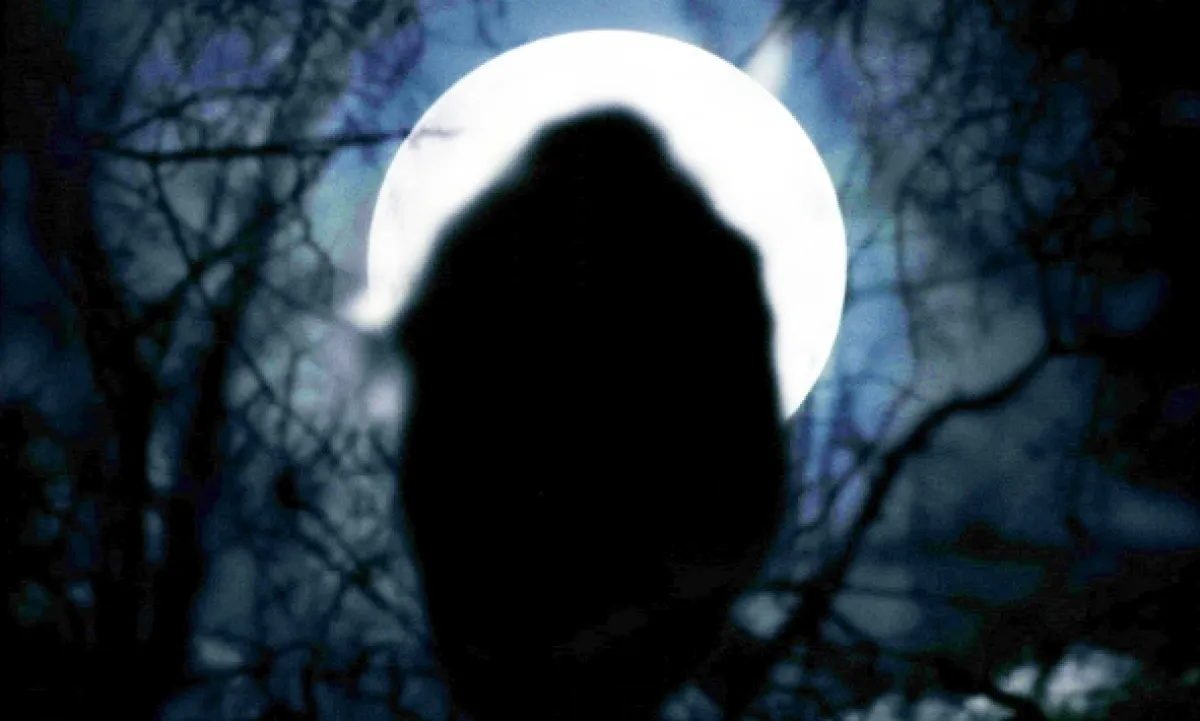 Čarodejnica: Novoanglická legenda (The Witch), 2015 - fotogaléria