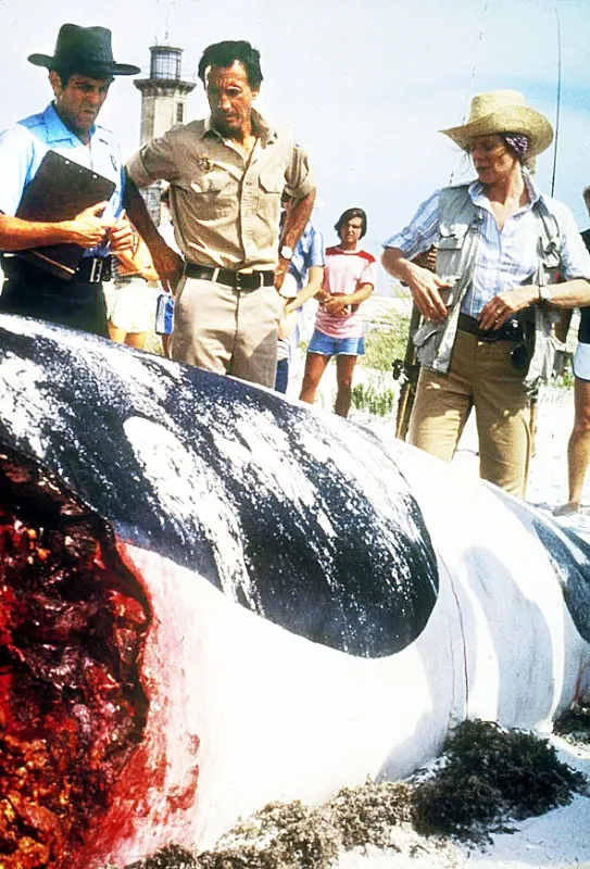 Čelisti 2 (Jaws 2), 1978 - fotogaléria
