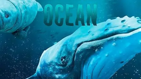Špióni v oceáne (4/4)