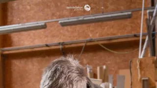 Shackletonova kajuta