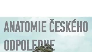 Anatomie českého odpoledne