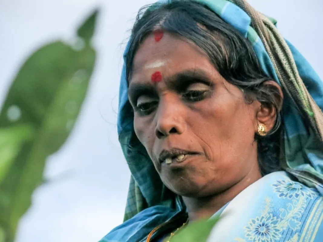 Kamera na cestách: Srí Lanka, drahocenný ostrov - fotogaléria