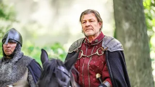 Robin Hood (3)