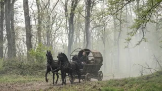 Robin Hood (4)