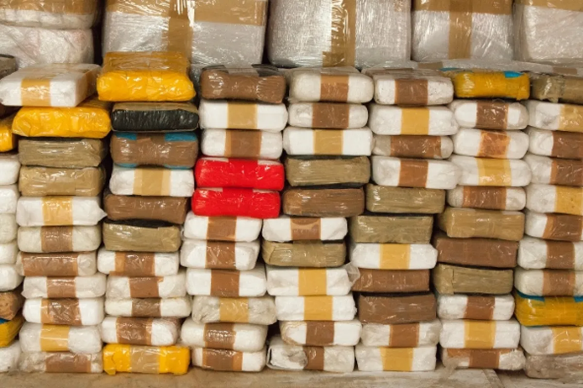 Narcos, 2016 - fotogaléria