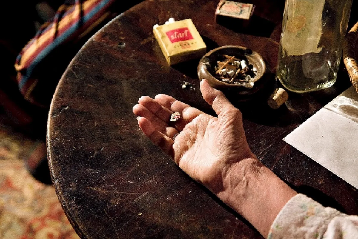 Anglické jahody, 2008 - fotogaléria