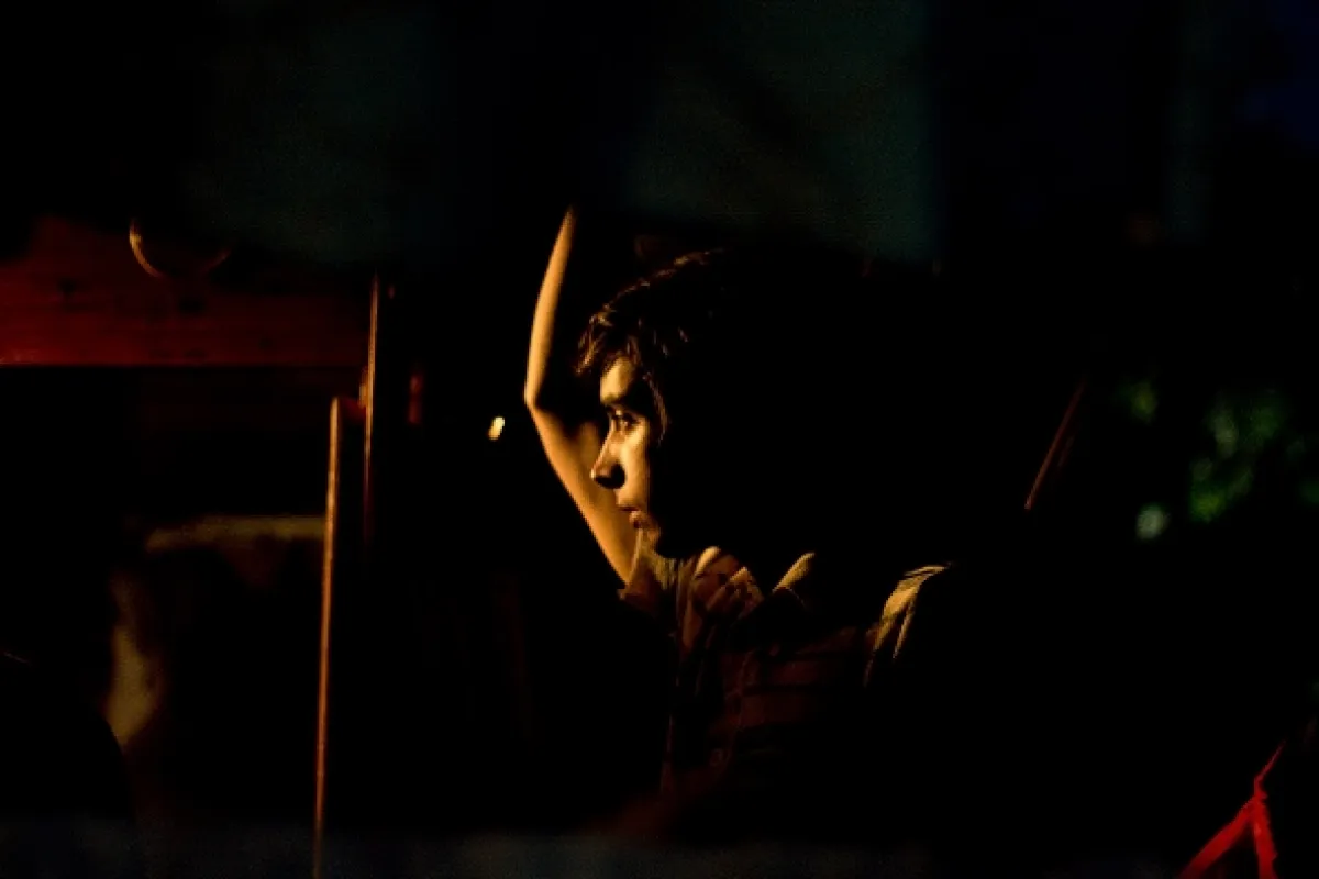Anglické jahody, 2008 - fotogaléria
