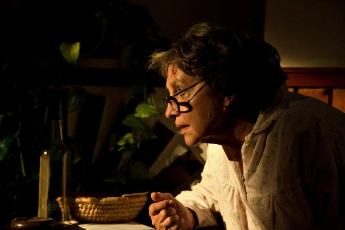 Anglické jahody, 2008 - fotogaléria