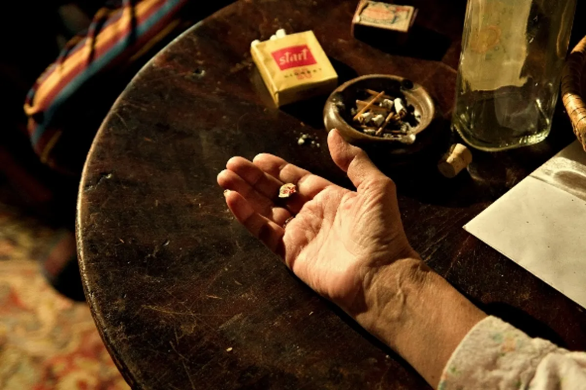 Anglické jahody, 2008 - fotogaléria